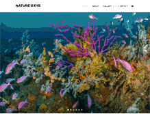 Tablet Screenshot of natureseye.co.nz